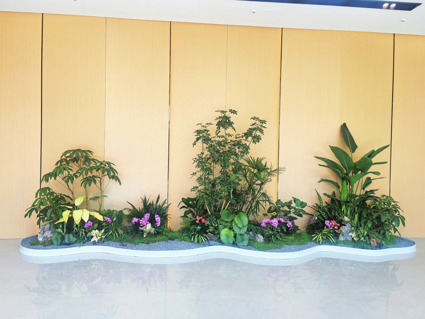 专业植物出租，让宁波余姚空间绿意盎然